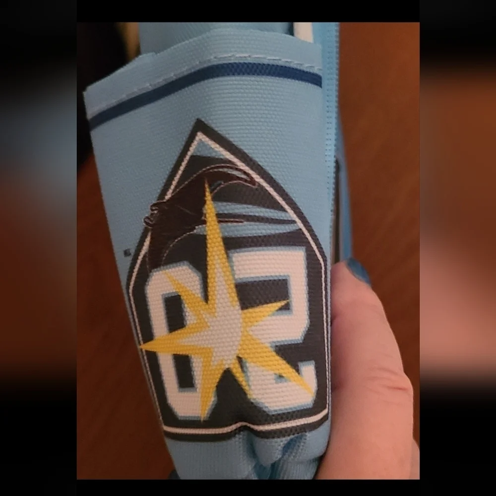Tampa Bay Rays kids' soft side lunch box